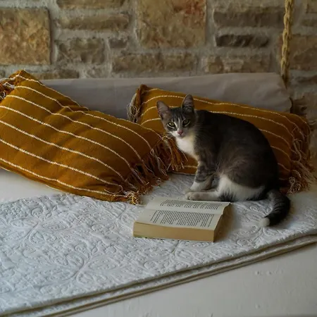 Karla Villa Pridraga